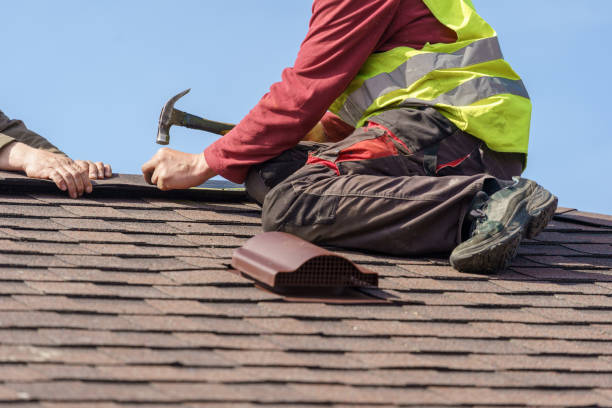 Best Roof Waterproofing Services  in Svis, IL