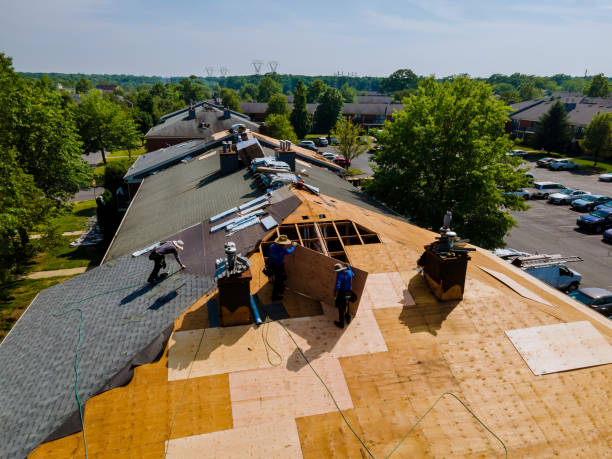 Best Flat Roof Repair Services  in Svis, IL