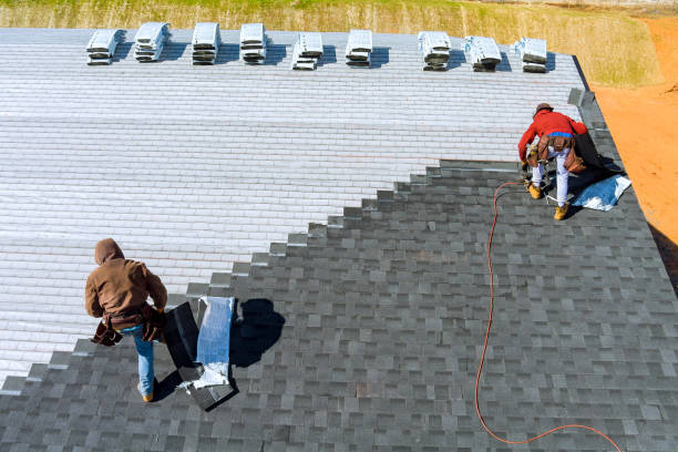 Best Residential Roofing Contractor  in Svis, IL