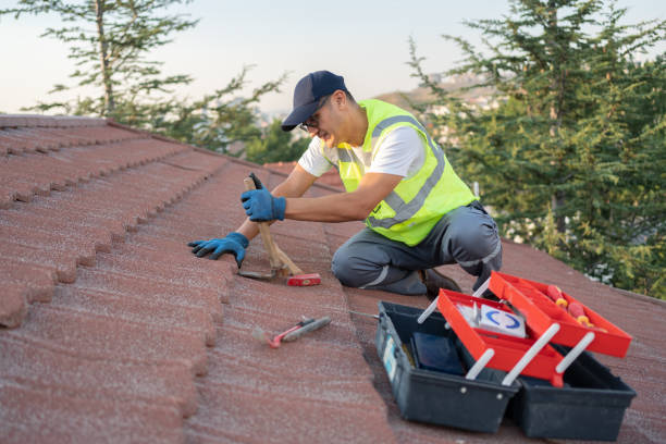 Best Storm Damage Roof Repair  in Svis, IL