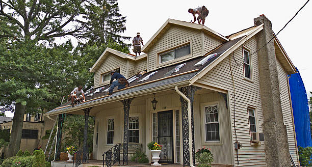 Best Metal Roofing Contractor  in Svis, IL